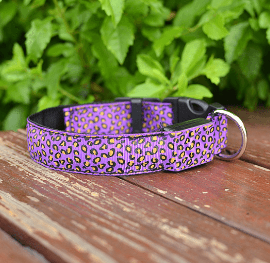 Leopard Glow-In-The-Dark Led Pet Collar: Keep Your Furry Friend Safe And Stylish!